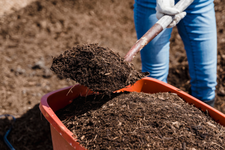 5 Best Shovels For Gardening In 2023