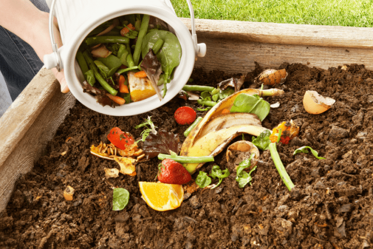 10 Amazing Benefits Of Composting For Your Garden