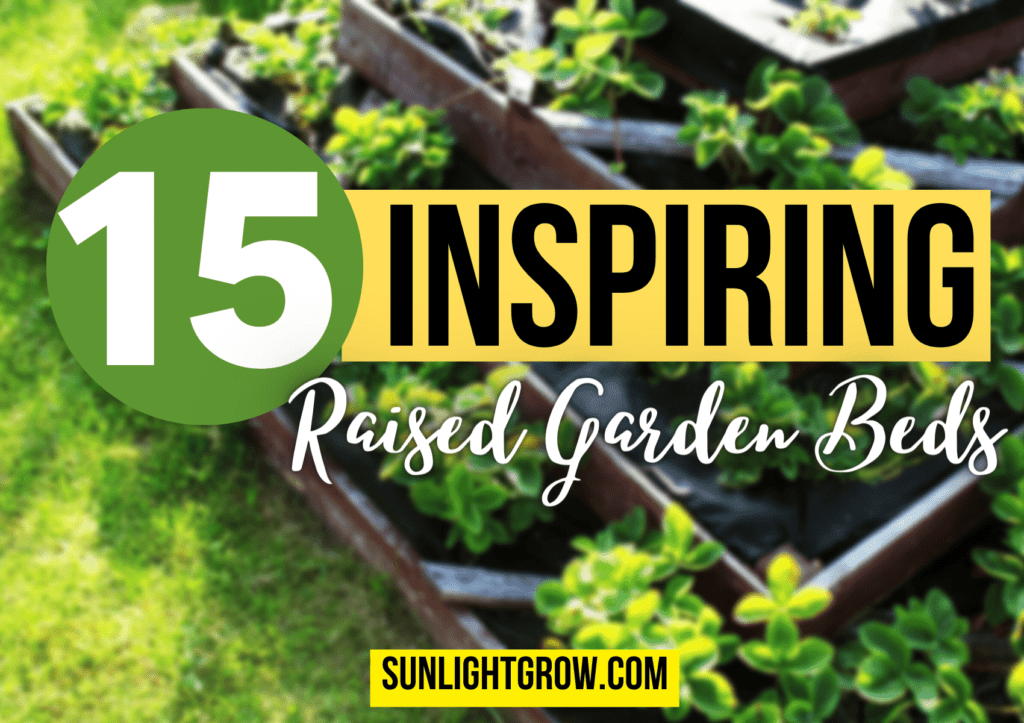 raised garden bed ideas