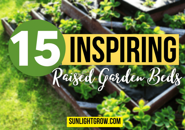 15 Inspiring Raised Garden Bed Ideas For 2023