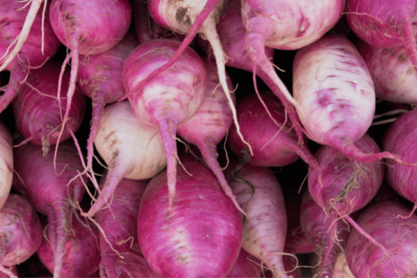 13 Easiest Vegetables To Grow In Early Spring