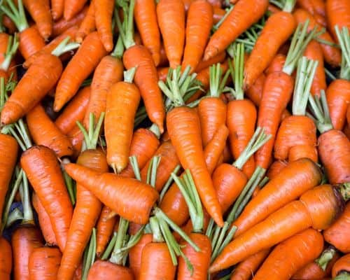 How To Grow Carrots For Beginners | From Seed To Harvest