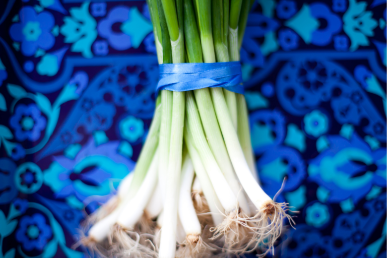 How To Plant Green Onion & Regrow In Water!