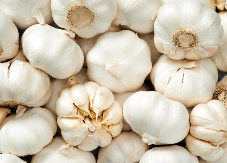 How To Grow Garlic At Home From Cloves