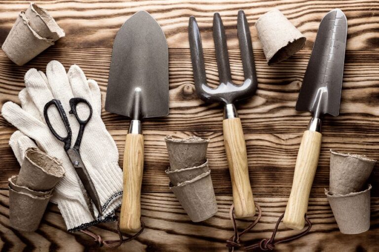 9 Gardening Tools Most Forget To Buy